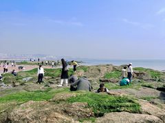 -巧克力渔家.小船海鲜胶东菜(万平口店)