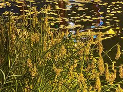 -长春市南湖公园