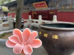 -潭柘寺景区