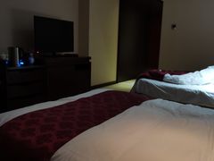 -百富怡大酒店