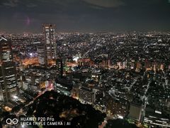 -东京都厅舍