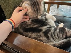 -咖法森林·咖啡  酒吧(天河店)