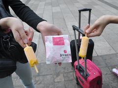 鲜花饼-嘉华饼屋JOY BAKERY(南屏街店)