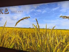 -秋色客家菜(南山店)