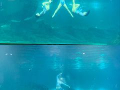 -福州罗源湾海洋世界旅游区