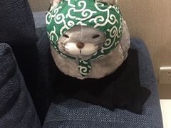 -PAWTOY爪e玩偶店(天兴罗斯福店)