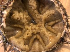 -海胆小馆(东北水饺·春柳店)