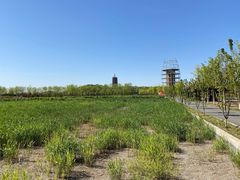 -永定河休闲森林公园