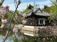 -无锡蠡湖国家湿地公园-蠡园