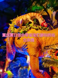 -恐龙探索乐园(磁器口店)