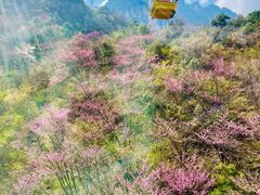 -秦岭天竺山景区
