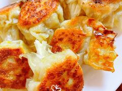 纯牧区羊肉煎烧麦-源玺源烧麦馆(东护城河南街店)