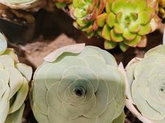 -三旗百汇商品城