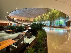 -北京望京凯悦酒店The Lounge大堂酒廊