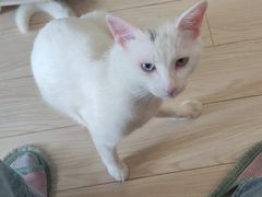 -派特宠物医院(圆融广场店)