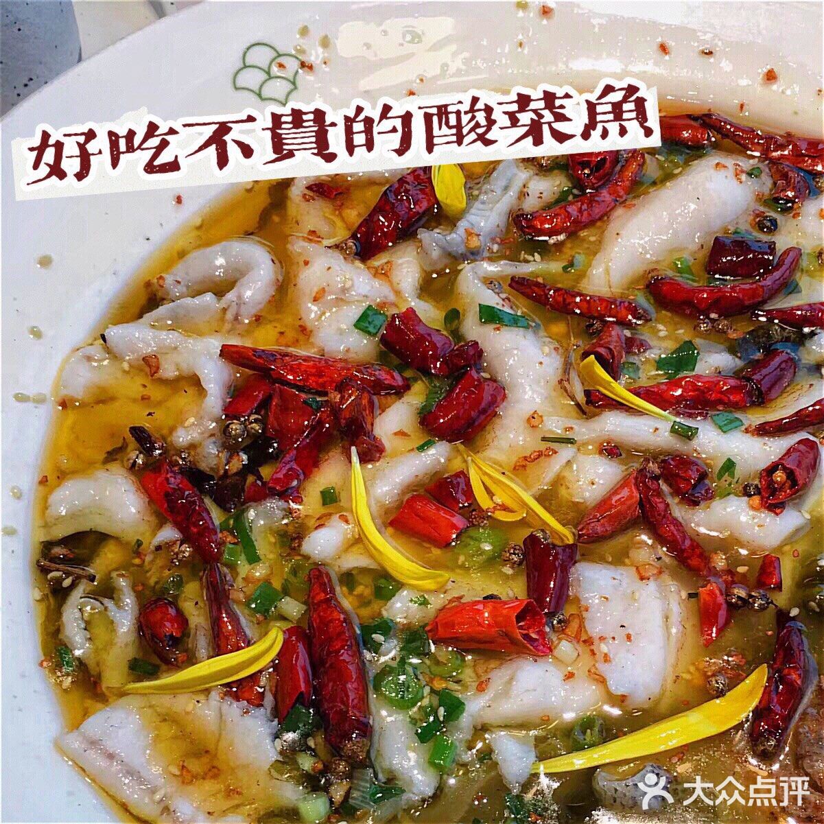 美食探店|酸爽可口的酸菜鱼