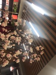 -素合写真摄影(合肥原创店)