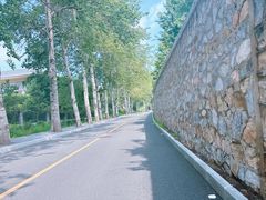 -香山公园
