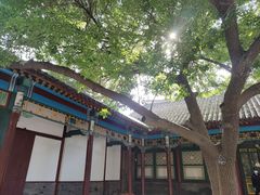 -张学良旧居陈列馆