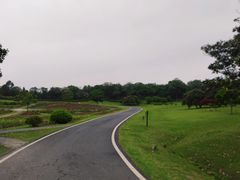 -宜兴龙背山森林公园