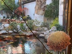 -鲤院·新中式美学·庭院餐厅(夫子庙店)