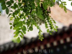 -湘子庙