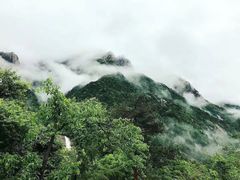 -黄山风景区