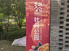 -洛阳市牡丹公园