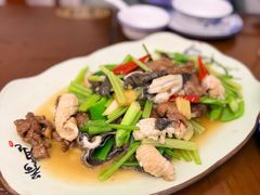 -杨记新泉美食