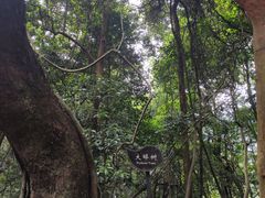 -福清灵石山国家森林公园