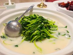 -天福苑(崇宁路店)