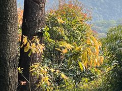 -广州市白云山风景名胜区