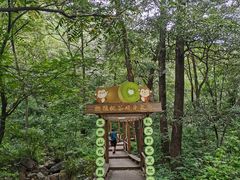 -大岭沟猕猴桃谷风景区