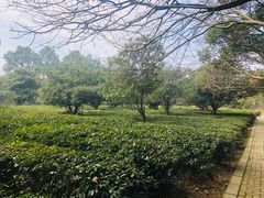 -宝岩生态观光园