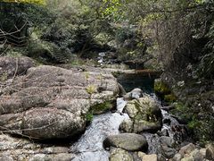 -东天目山风景区
