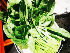 蔬菜拼盘-洪氏嗨捞·广东猪肚鸡·椰子鸡火锅(西咸万象城店)