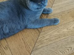 -Me Coffee下午茶艺术空间