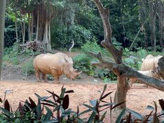 -广州长隆野生动物世界