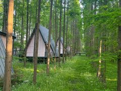 -黄海国家森林公园