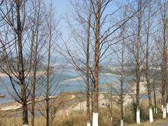 -金海湾滨江公园