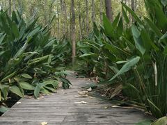 -合肥滨湖国家森林公园