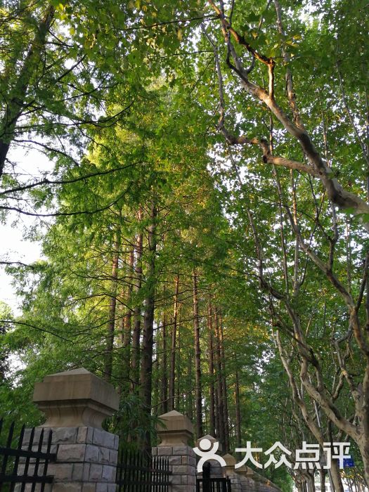 临沂公园-图片-上海周边游-大众点评网