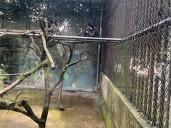 -宁波野生动物园