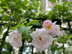 -有锞私房菜(良乡大学城店)