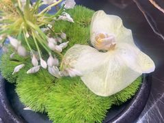 -沈灶河豚宴·河豚融合餐厅(汉中路店)
