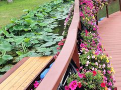 -上海鲜花港