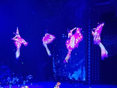 -珠海横琴长隆《卡卡虎奇遇记》