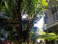 -Fern Forest Cafe