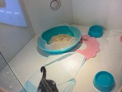 -龟与熊猫宠物公园(南坪店)