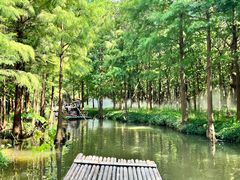 -尚湖风景区